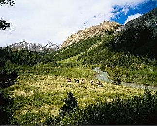 《华纳大乱斗》黑亚当及街机模式预告 本周上线